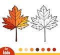 Coloring book, Maple leaf Royalty Free Stock Photo