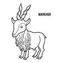 Coloring book, Markhor