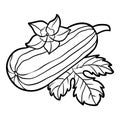 Coloring book, Marrow squash Royalty Free Stock Photo