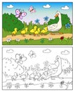 Coloring book. Mother duck and ducklings.