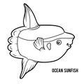 Coloring book, Ocean sunfish Royalty Free Stock Photo