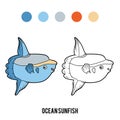 Coloring book, Ocean sunfish