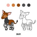 Coloring book, Okapi Royalty Free Stock Photo