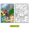 Coloring book, Okapi Royalty Free Stock Photo