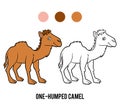 Coloring book, One-humped camel