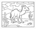 Coloring book, One-humped camel on a desert background