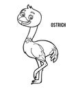 Coloring book, Ostrich