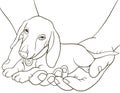 Coloring book,page for adults and children a cute pupy in the hands.Line art style illustration.