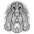 Coloring book page basset hound dog vector illustration