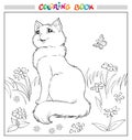 Coloring book or page. Cat sit on grass among flowers and butterfly.