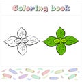 Coloring book page for children with colorful basil and sketch to color.