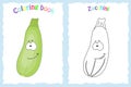 Coloring book page for children with colorful zucchini and ske