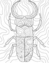 Coloring Book Page With Detailed Cockroach Walking Ahead. Sheet To Be Colored With Insect With Legs And Horns. Bug With