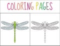 Coloring book page. Dragonfly. Sketch and color version. Coloring for kids. Vector illustration