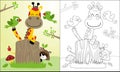 Coloring book or page with nice giraffe cartoon and friends, raccoon and birds