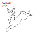 Coloring page, outline drawing with jumping Rabbit illustration Royalty Free Stock Photo