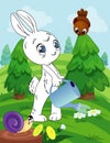 Coloring book page for preschool children with colorful background and sketch bunny for coloring Royalty Free Stock Photo