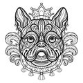 Coloring book page pug dog vector illustration