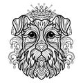 Coloring book page schnauzer dog vector illustration