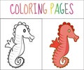 Coloring book page, seahorse. Sketch and color version. Coloring for kids. Vector illustration