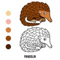 Coloring book, Pangolin