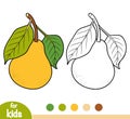 Coloring book, Pear tree branch Royalty Free Stock Photo
