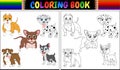 Coloring book pets cartoon Royalty Free Stock Photo