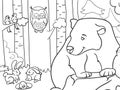 Coloring book picture, animals in the forest. Bear, rodents and birds. Raster