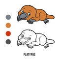 Coloring book, Platypus