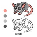 Coloring book, Possum