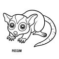 Coloring book, Possum