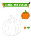 Coloring book with a pumpkin. Orange pumpkin. Education and entertainment for preschool children.Trace and color it.