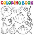 Coloring book pumpkins collection 1
