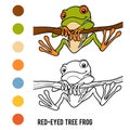 Coloring book, Red-eyed tree frog