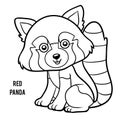 Coloring book, Red panda Royalty Free Stock Photo