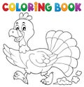 Coloring book running turkey bird 1