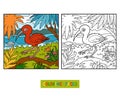 Coloring book, Scarlet ibis