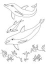 Coloring book sea life. dolphins family. Underwater world. outline vector Black and white illustration for colouring Royalty Free Stock Photo