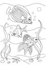 Coloring book sea life. exotic and aquarium fishes. Underwater world. outline vector Black and white illustration for