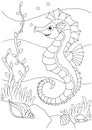 Coloring book sea life. sea horse, hippocampus. Underwater world. outline vector Black and white illustration for colouring book Royalty Free Stock Photo