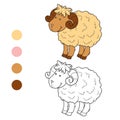 Coloring book (sheep)