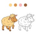 Coloring book (sheep)