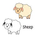 Coloring book sheep