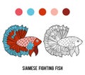 Coloring book, Siamese fighting fish