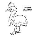 Coloring book, Southern cassowary