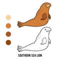 Coloring book, Southern Sea Lion Royalty Free Stock Photo