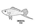 Coloring book, swordtail fish