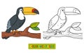 Coloring book (toucan) Royalty Free Stock Photo