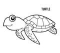 Coloring book, Turtle