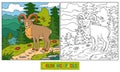 Coloring book (urial)